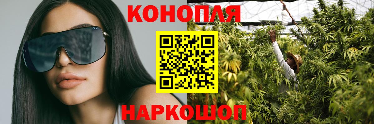 Конопля ГИДРОПОН  Вход с VPN  Каннабис ГИДРОПОН  Реж  Каннабис Amnesia 